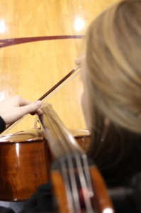 Orchestra Gallery 11
