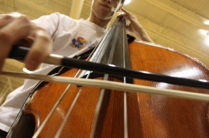 Orchestra Gallery 14