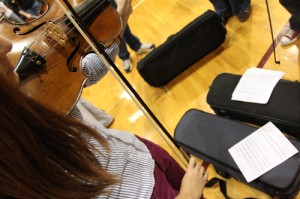 Orchestra Gallery 5