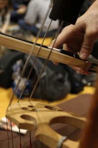 Orchestra Gallery 7