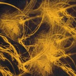 yellowstuff4 yellowstuff4
