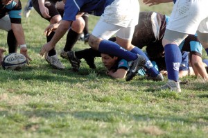 DSC_1944 DSC_1944