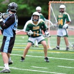 DSC_1952 DSC_1952