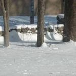 DSC_8724 DSC_8724