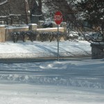 DSC_8726 DSC_8726