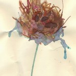 Bird-dry by Paloma Gustafson-Ika