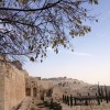 Looking out on the city of Jerusalem from the Western Wall.