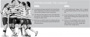 Distinguishing the Leagues; Artwork by Grace Heitmann