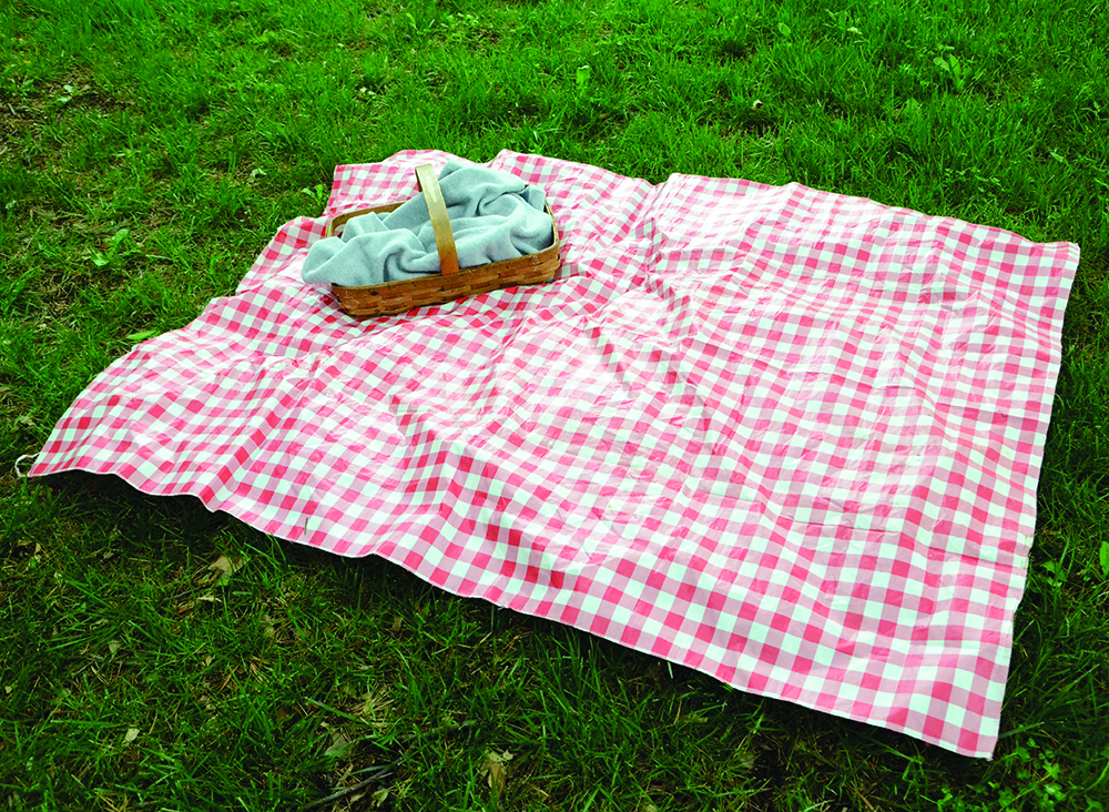 What to Pack for Your Picnic