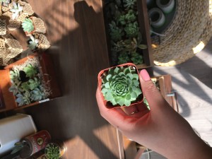 img_8225