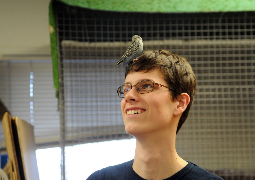 Gallery: Environmental Education Presentations