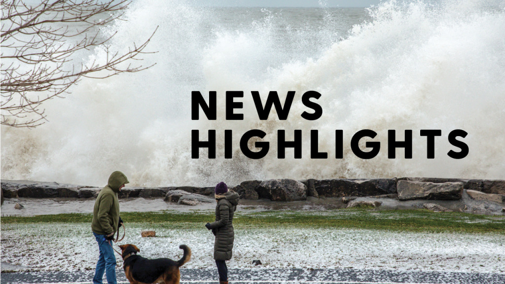 News Briefs Issue 7: Week of Dec. 3