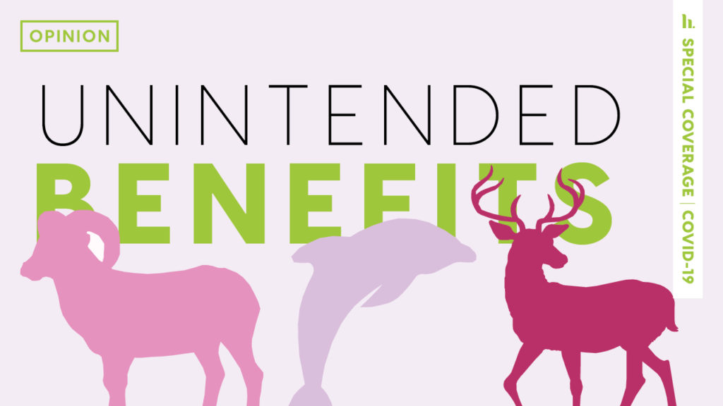 Unintended Benefits: COVID-19 has seen positive environmental impacts, but it's time to talk about what happens after