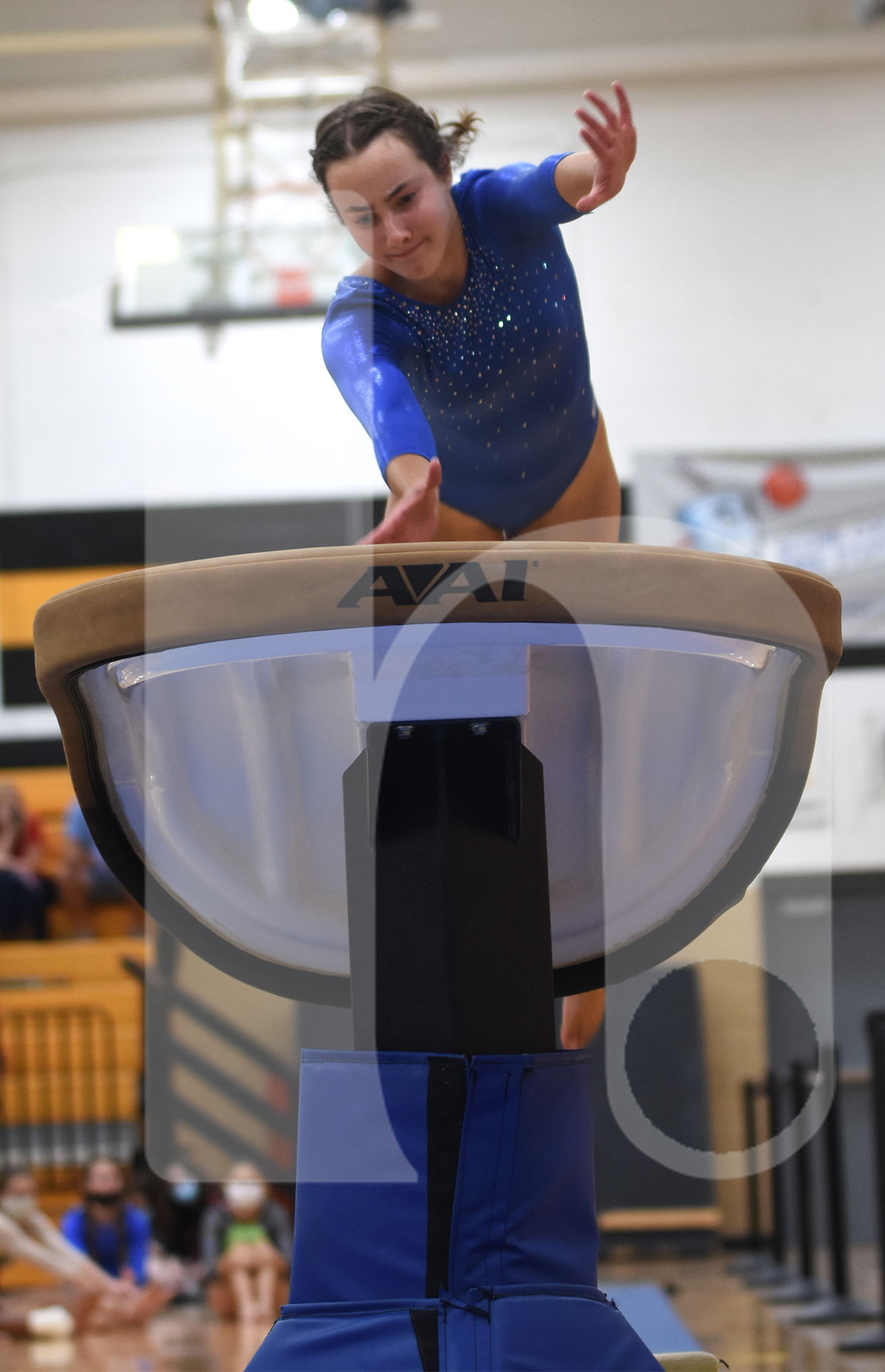 Gallery: Girls Gymnastics Meet At Shawnee Mission West | The Harbinger ...