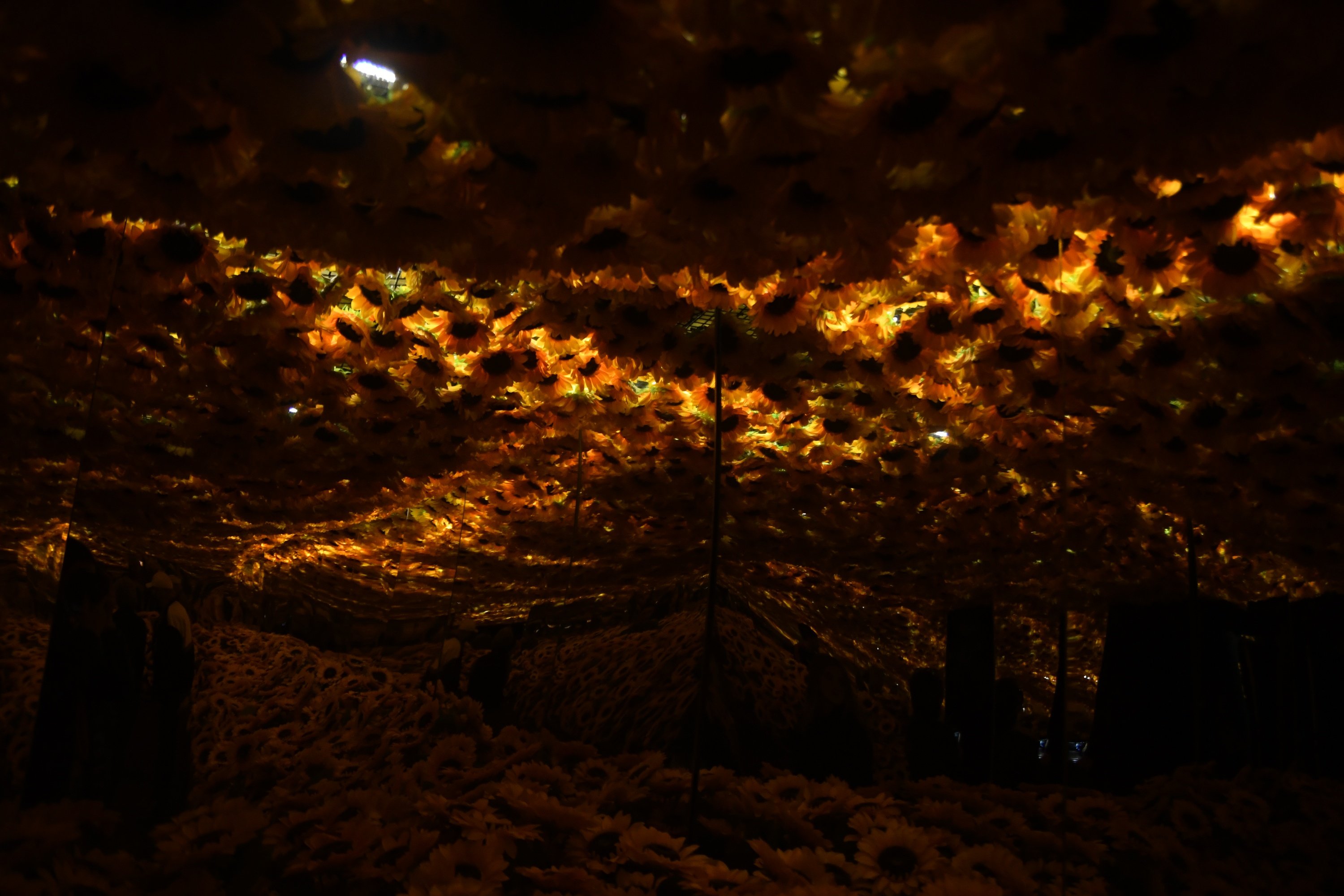 Let's Gogh: A review of Kansas Cities art  exhibit, Immersive Van  Gogh, at Starlight  theatre