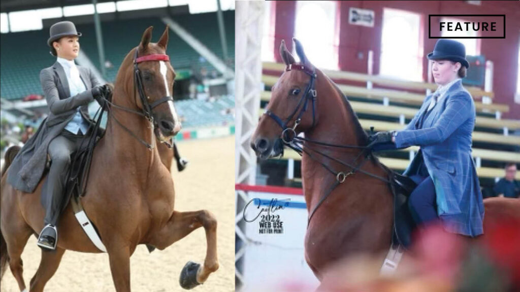 Sisters Take the Saddle: Horseback riding keeps senior Lily Lawrence and freshman Olivia Lawrence close, through support and motivation to improve
