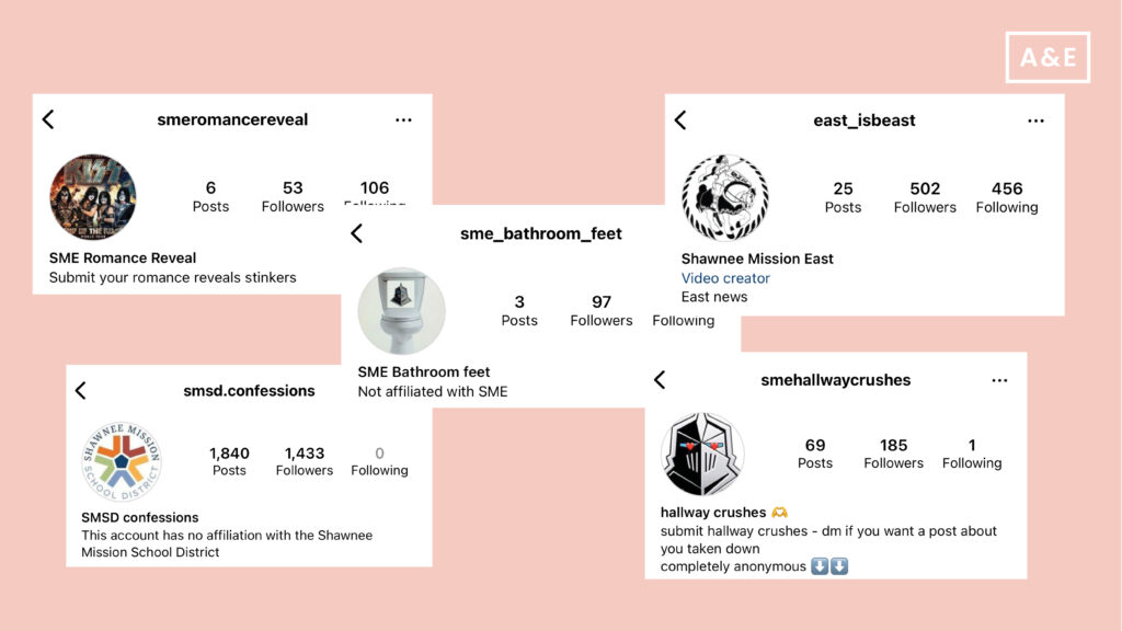 EastGram: A review of various East and SMSD-related Instagram accounts