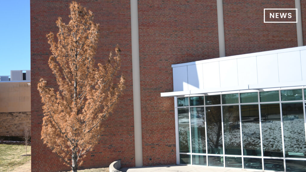 City of Trees: Merriam partners with Bridging the Gap to provide free trees for residents