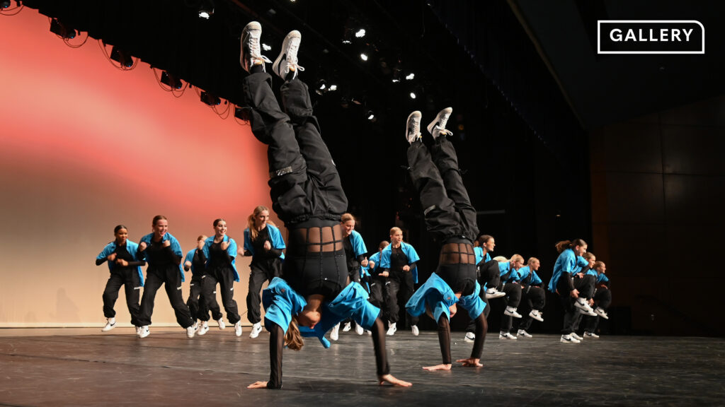 Gallery: Lancer Dancer Spring Show