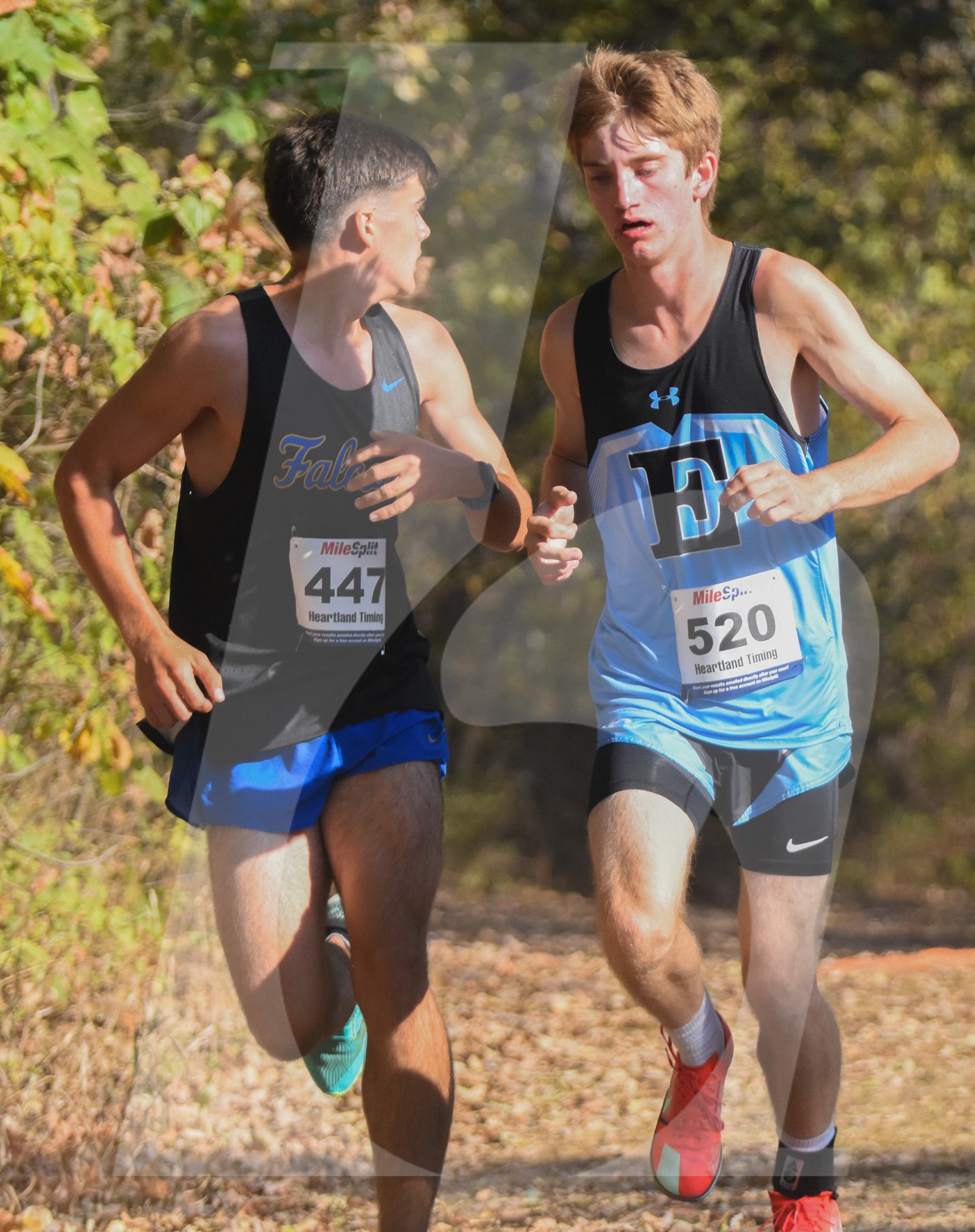 Gallery: Sunflower League Cross Country Meet
