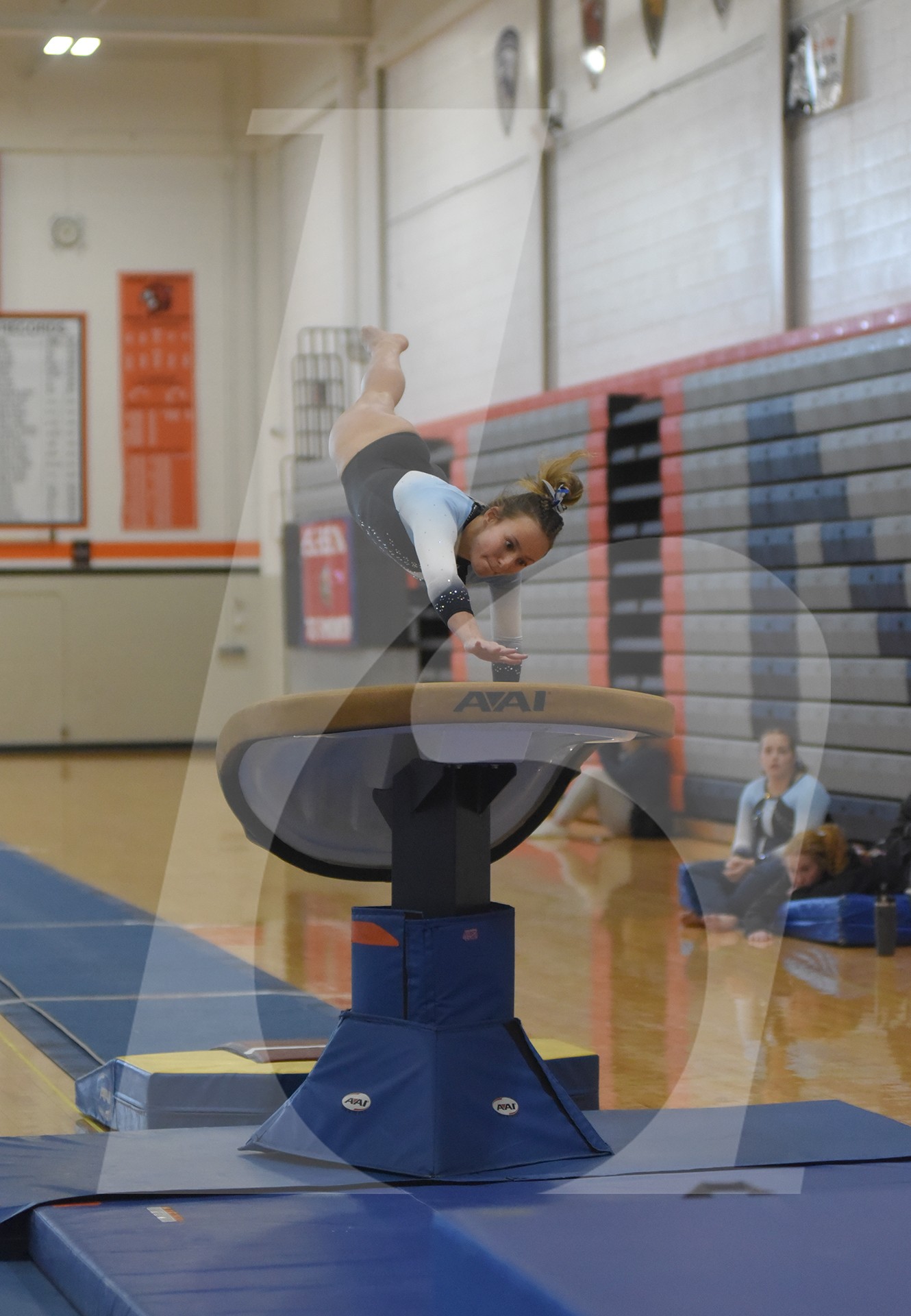 Gallery: Lancer Gymnastics Places Third at State