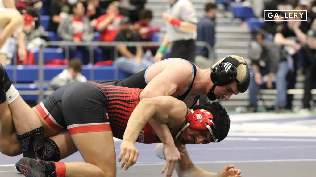 Gallery: Wrestling State Tournament