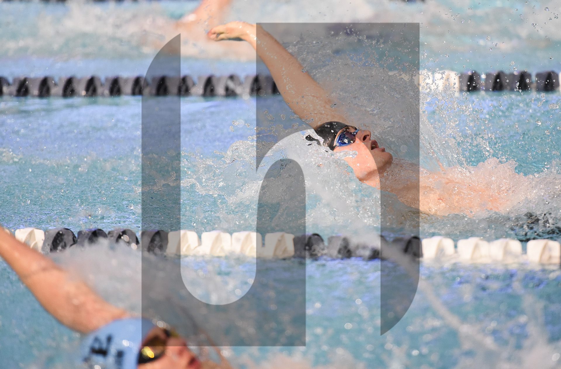 Gallery: Boys Swim and Dive Wins KSHAA 6A State Championship