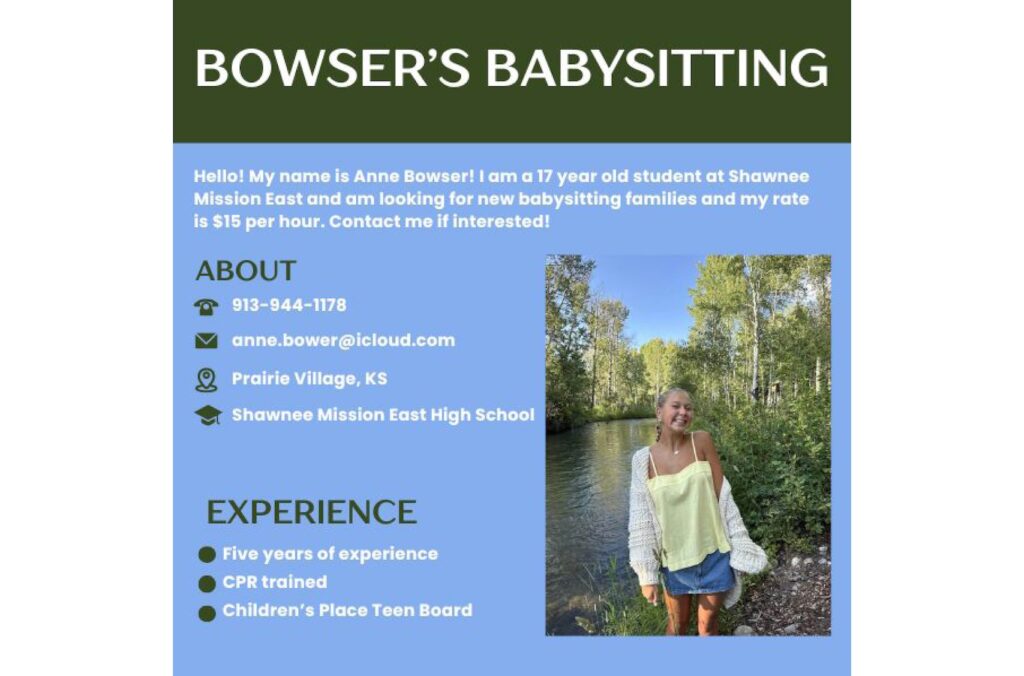 Bowser's Babysitting