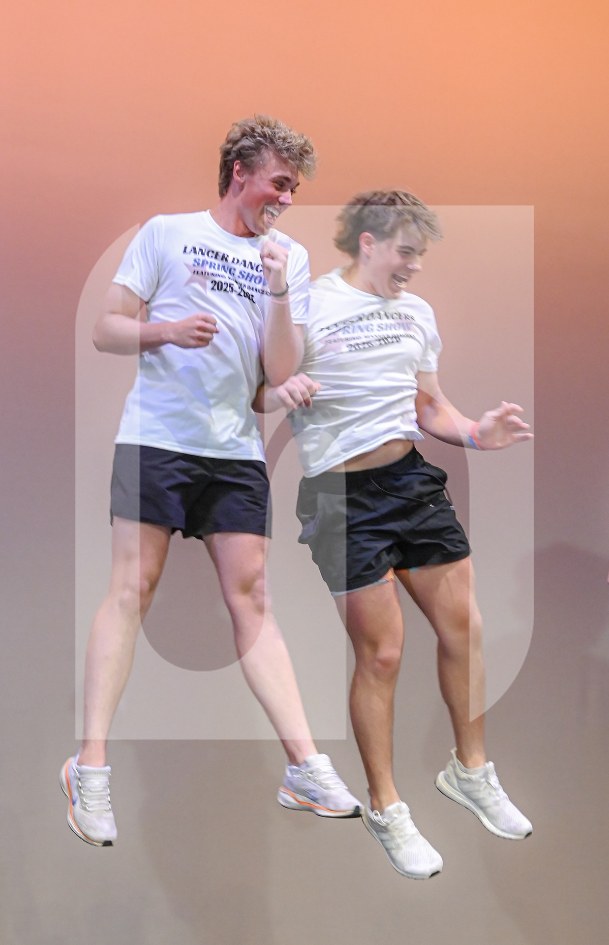Gallery: Lancer Dancer Spring Show